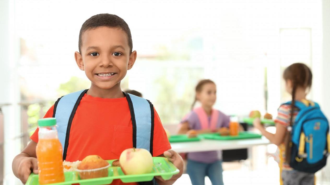 School Nutrition Programs for Children